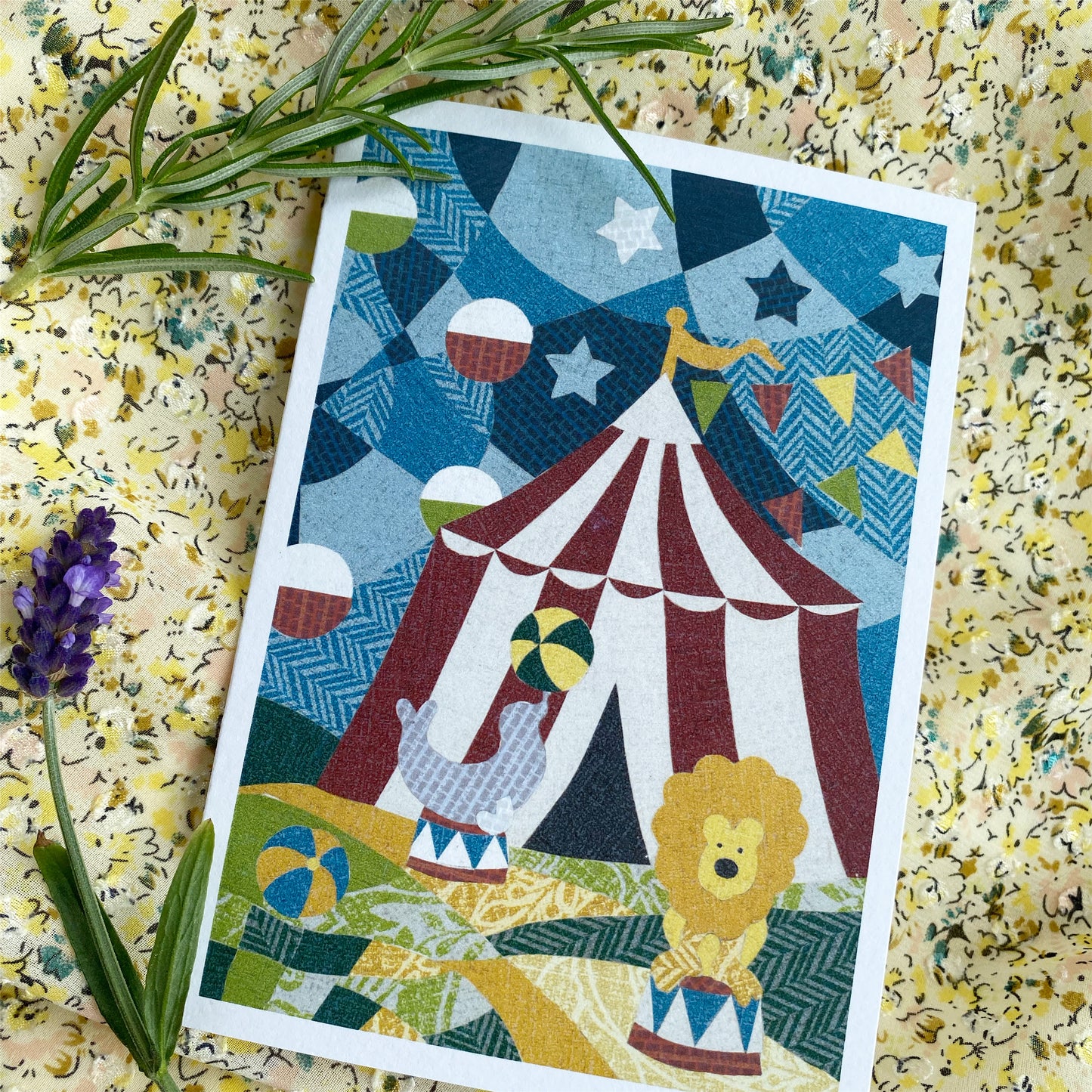 Kort cirkus